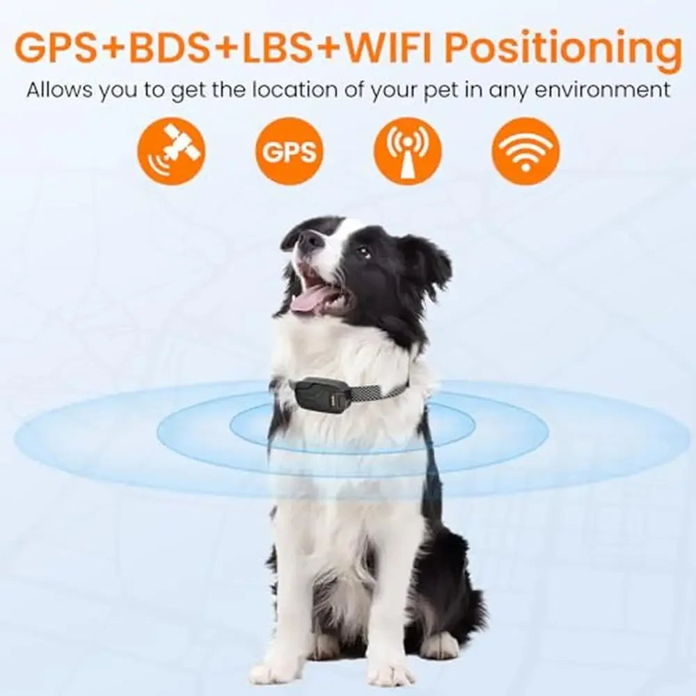 Health Monitoring & GPS Tracker