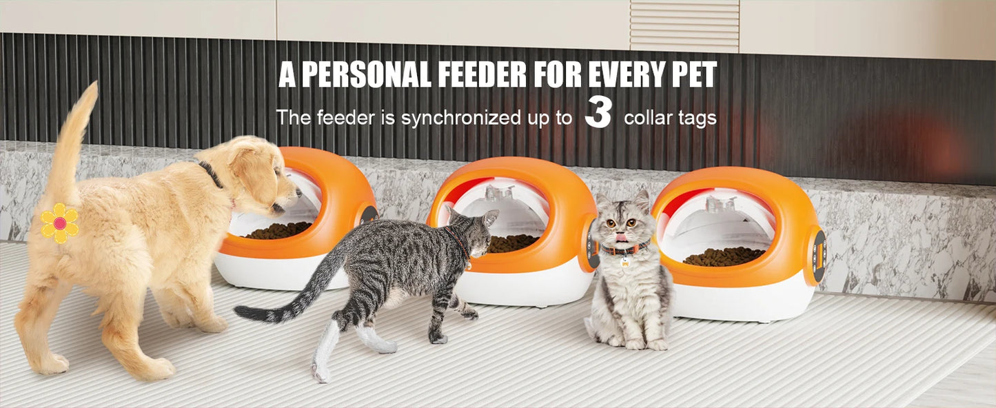 Intelligent Anti-snatch Automatic Cat and Dog Feeder