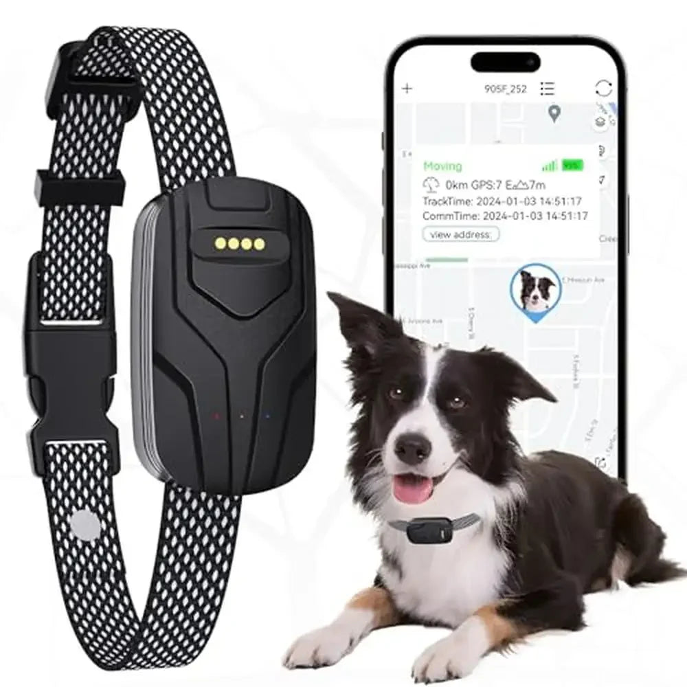 Health Monitoring & GPS Tracker