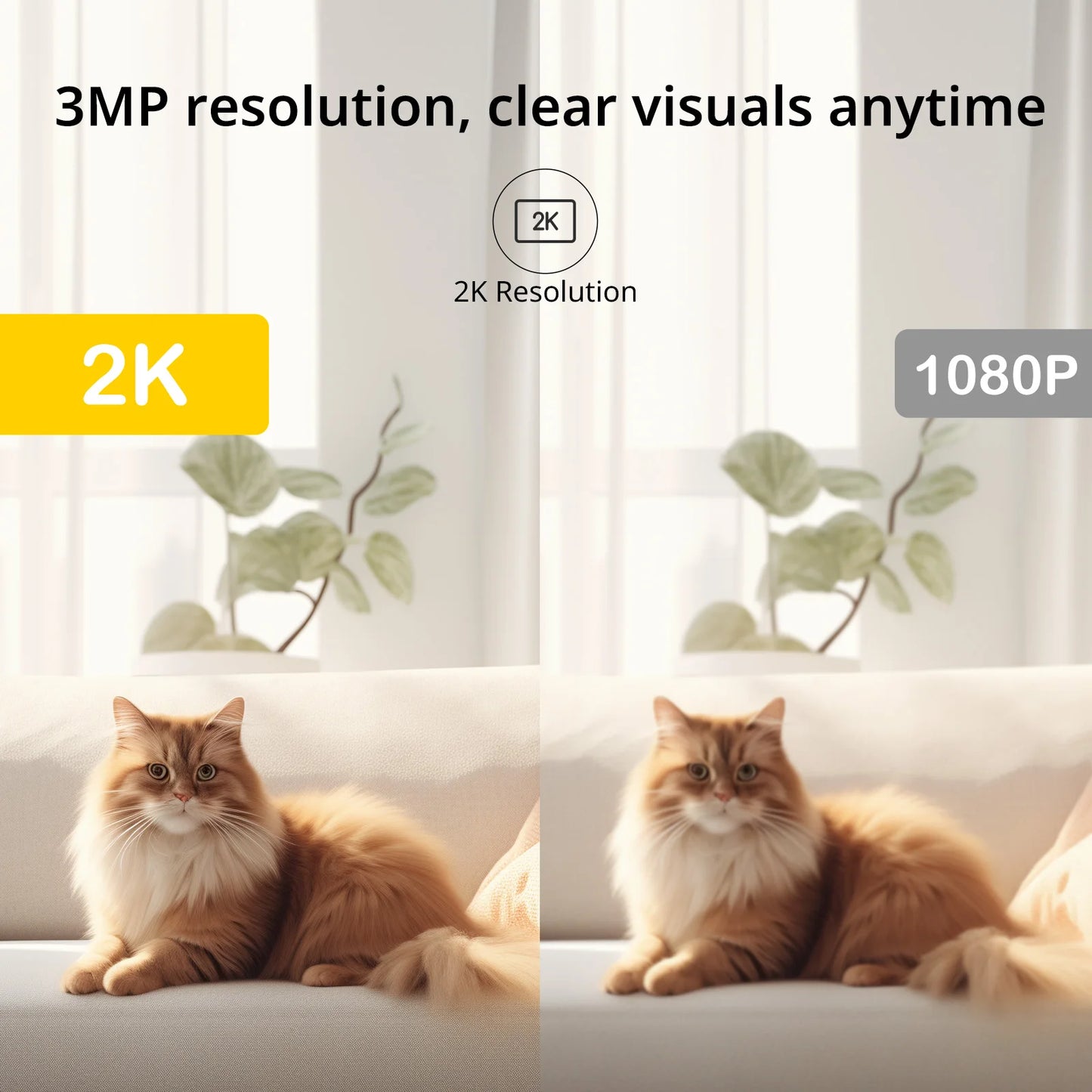 Pet Monitor Surveillance Camera