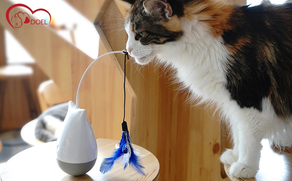 Cat Feather Teaser Spinning Toy