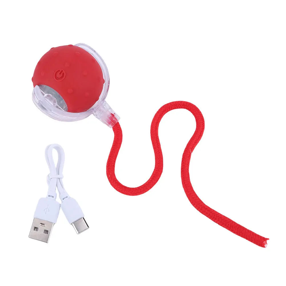 Automatic Rolling Cat Interctive Ball Toy