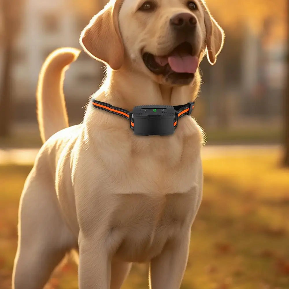 Electronic Pet Training Shock Collar