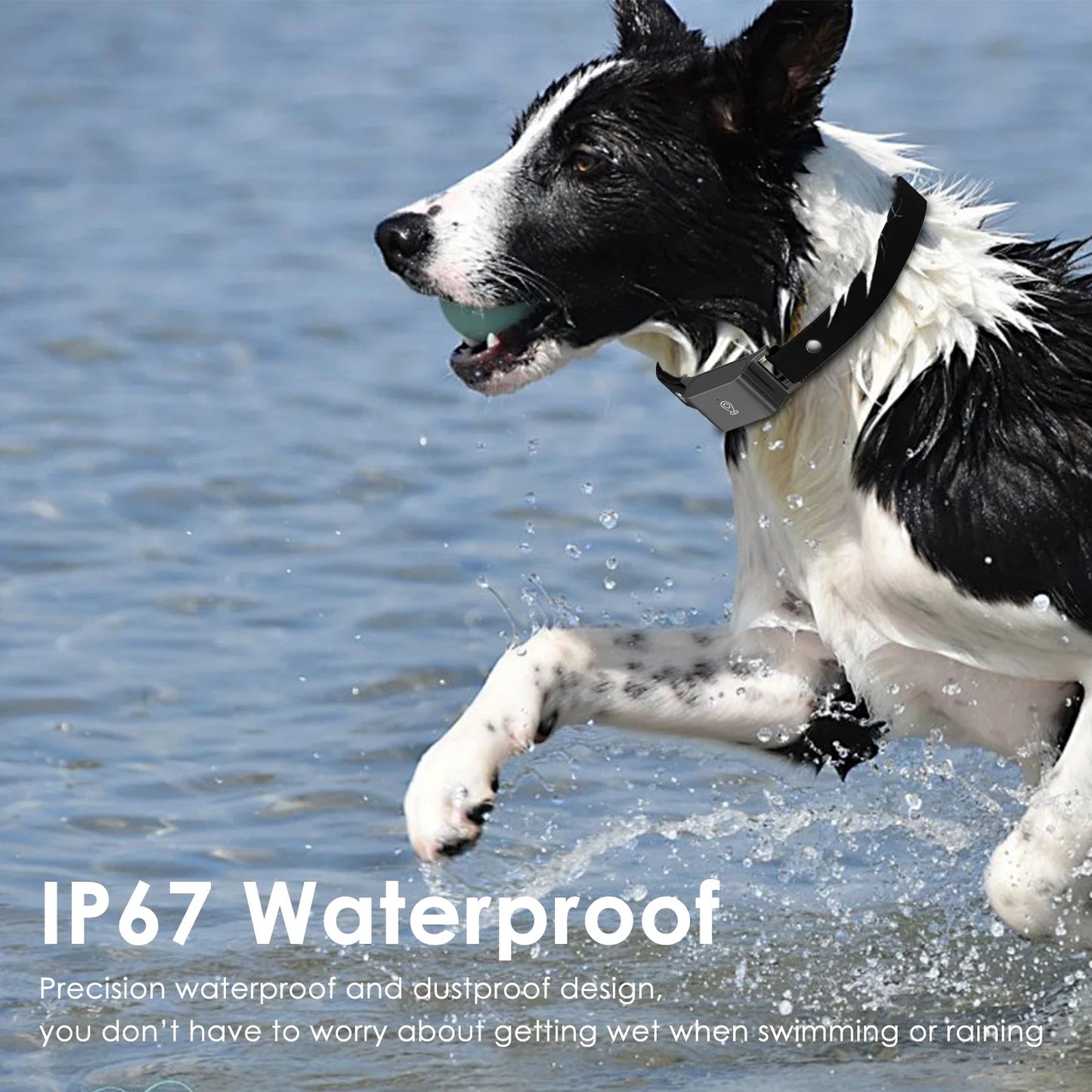 Waterproof GPS Pet Tracker+Mini Body Camera