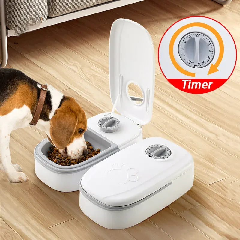Detachable Auto Pet Automatic Timing Feeder