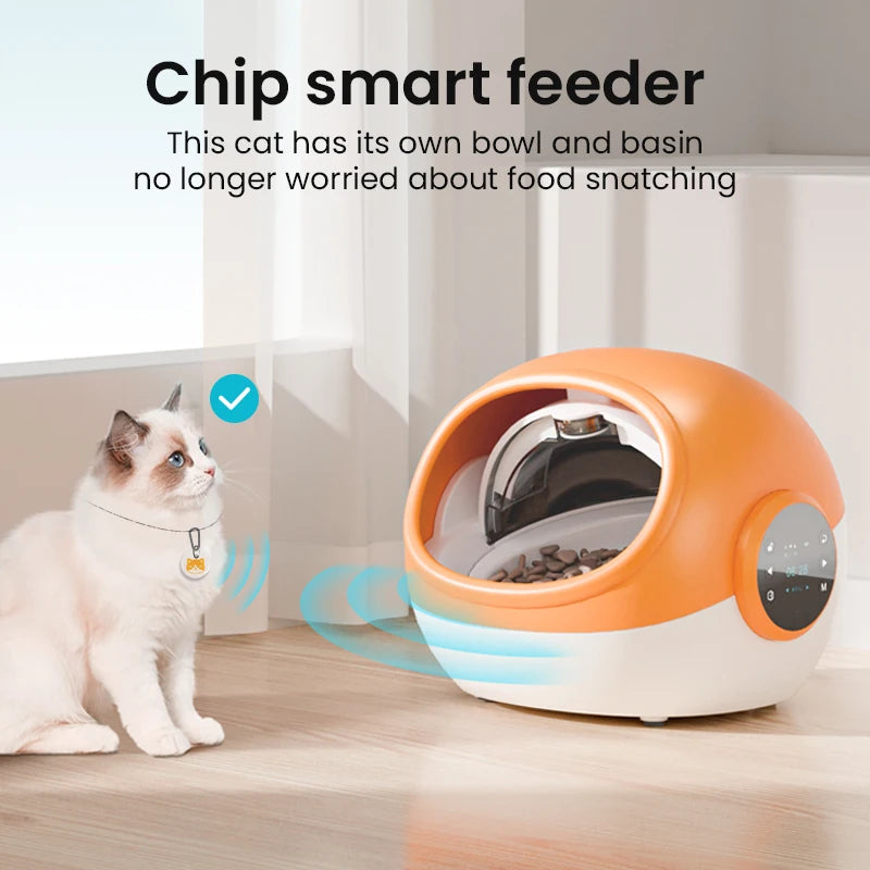 Intelligent Anti-snatch Automatic Cat and Dog Feeder