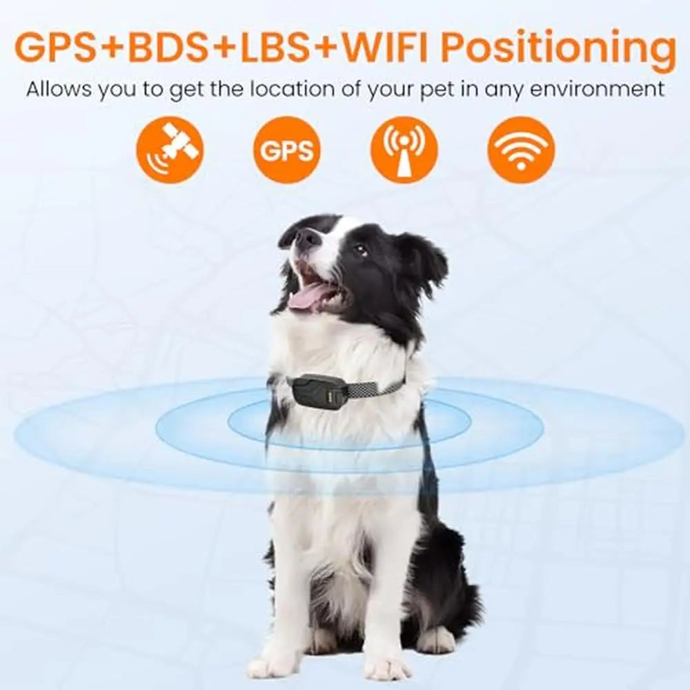 Health Monitoring & GPS Tracker