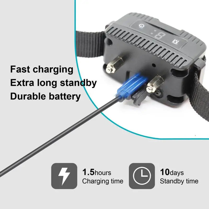 Electronic Pet Training Shock Collar