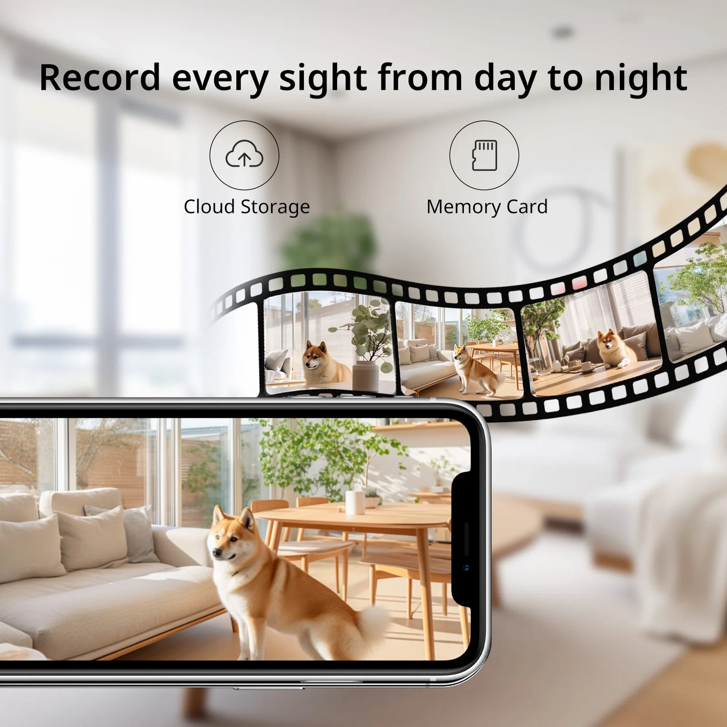Pet Monitor Surveillance Camera