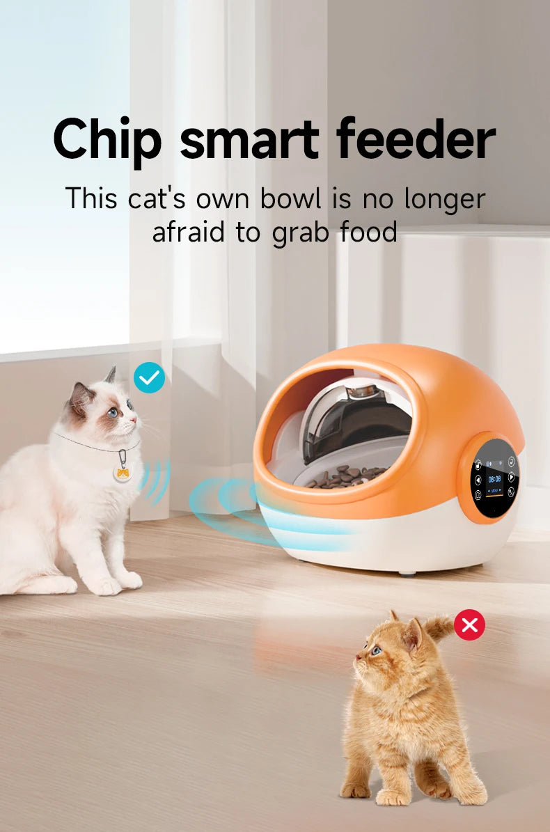 Intelligent Anti-snatch Automatic Cat and Dog Feeder