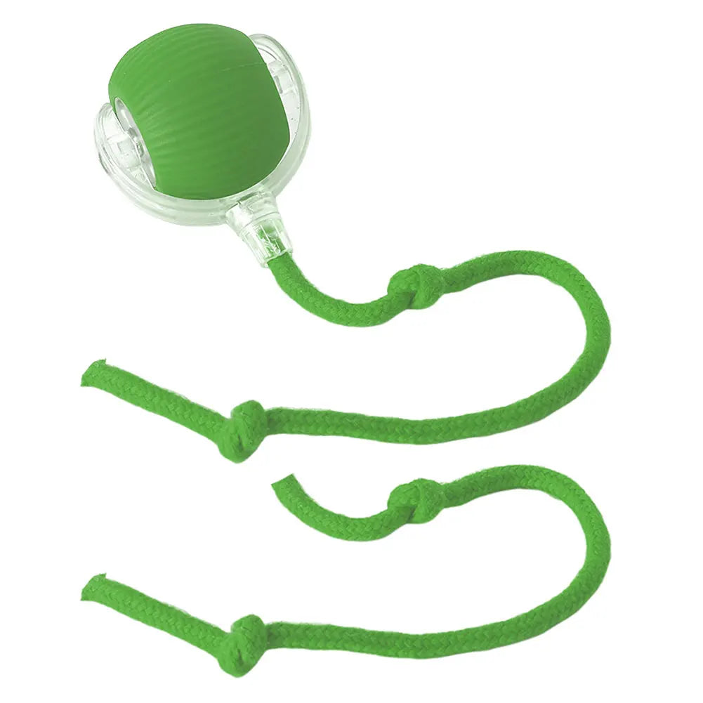 Automatic Rolling Cat Interctive Ball Toy