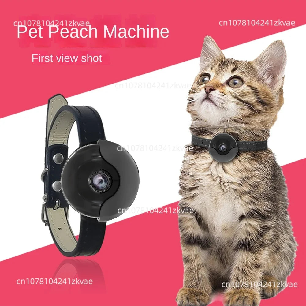 First-view smart camera recorder collar