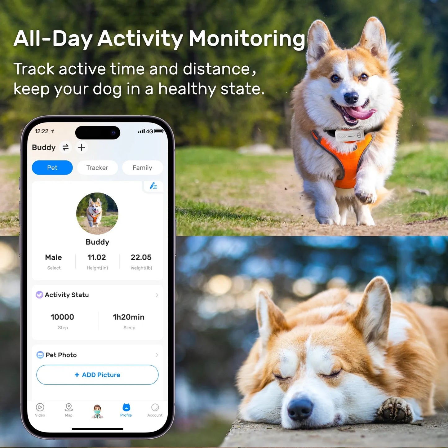 Pet Pedometers GPS Tracker for Dogs