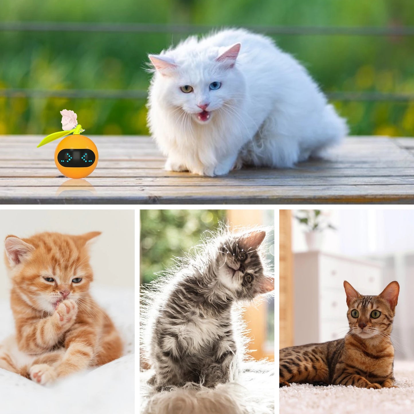 Rechargeable Intelligent Avoidance Automated Cat Toy