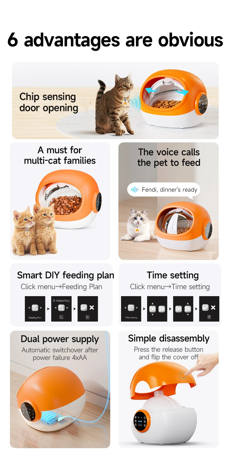Intelligent Anti-snatch Automatic Cat and Dog Feeder