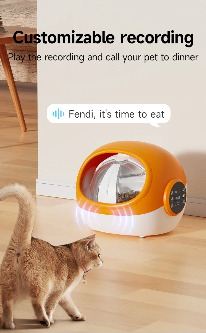Intelligent Anti-snatch Automatic Cat and Dog Feeder
