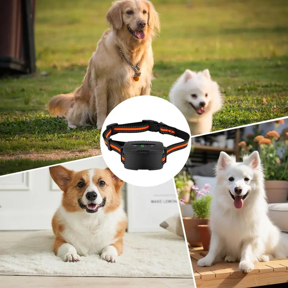 Electronic Pet Training Shock Collar