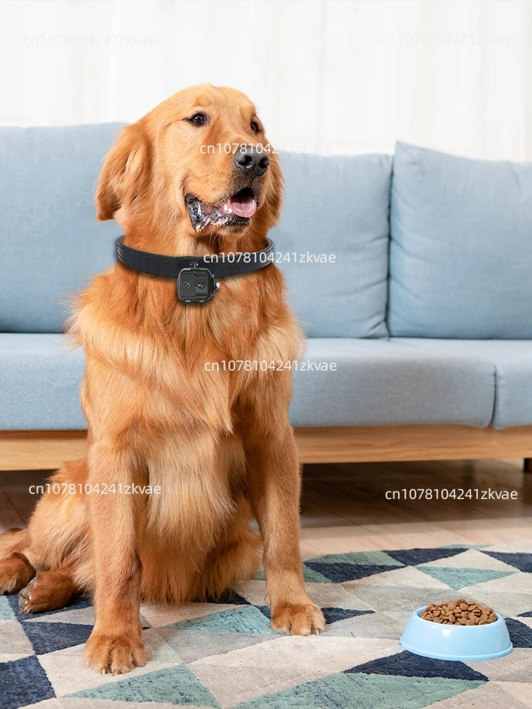 First-view smart camera recorder collar
