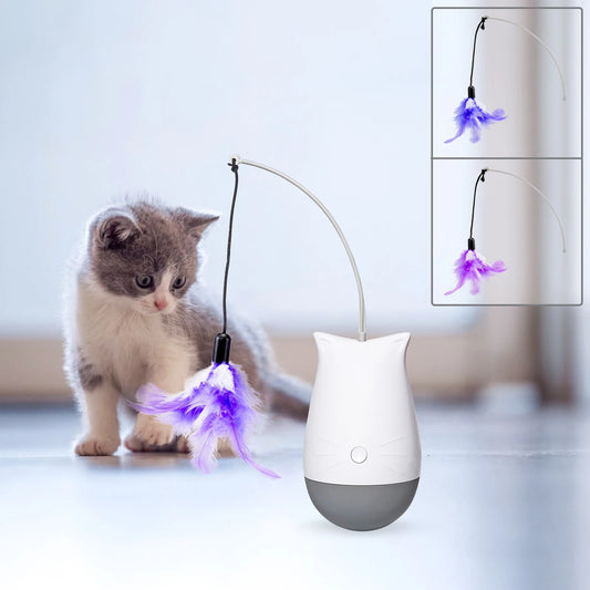 Cat Feather Teaser Spinning Toy