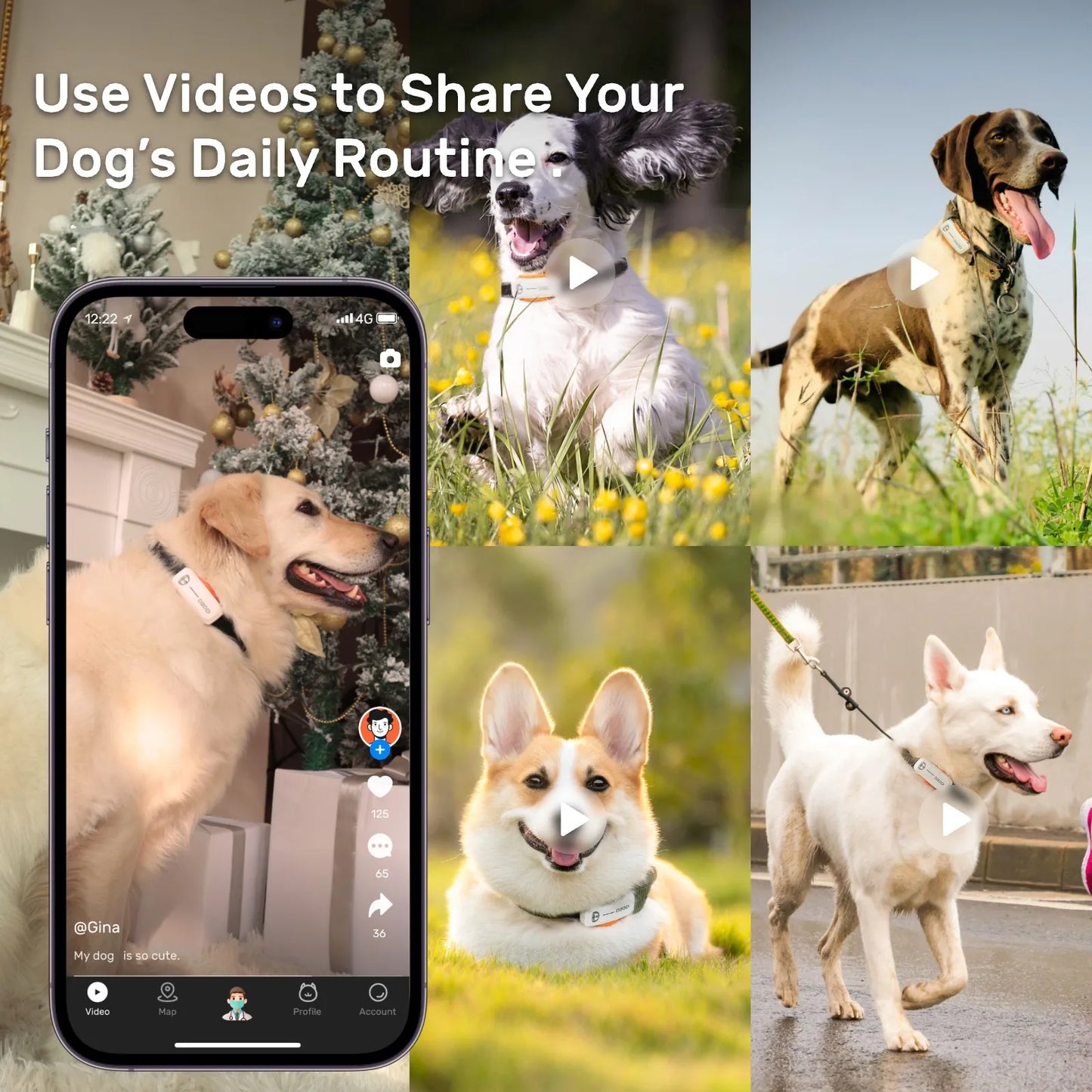Pet Pedometers GPS Tracker for Dogs