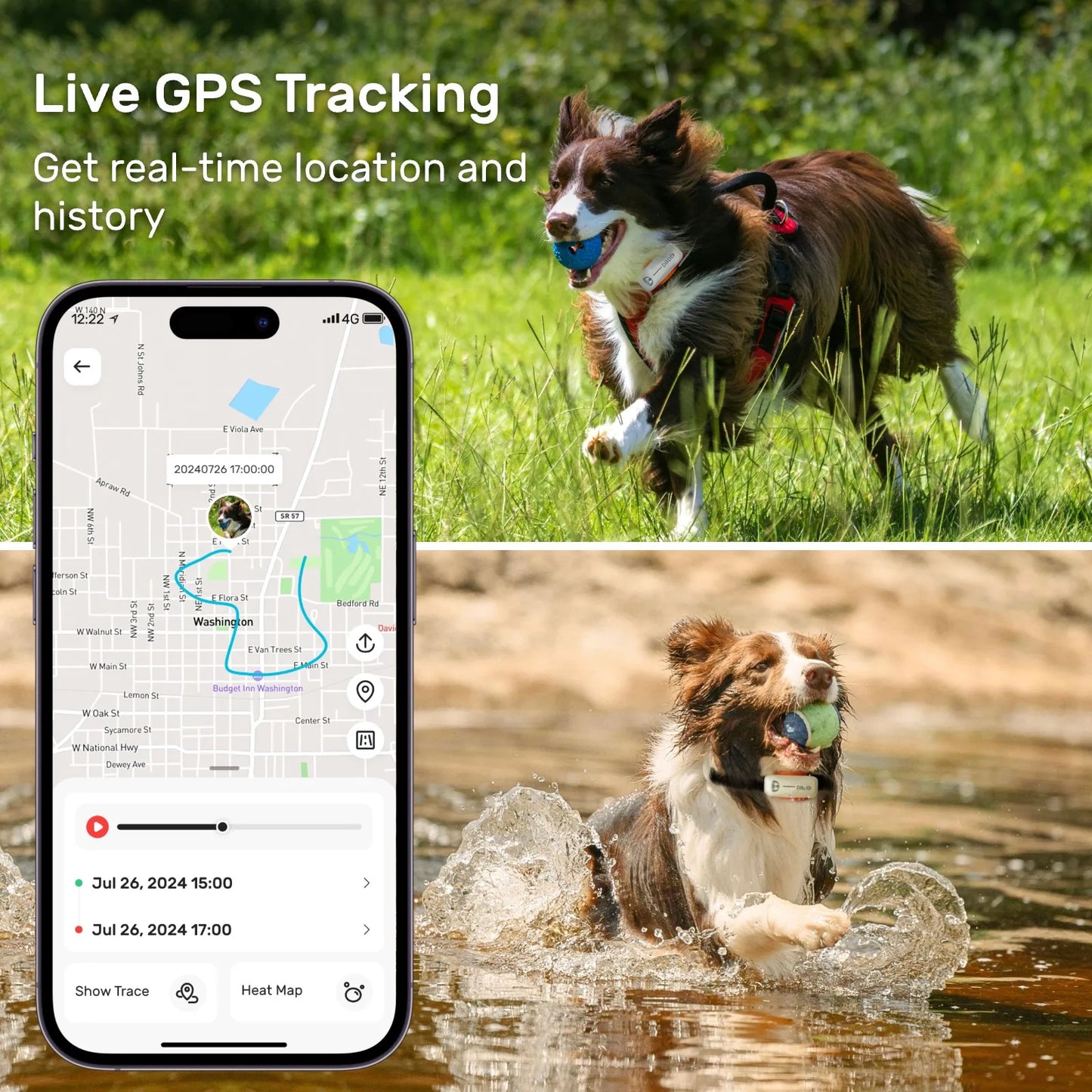 Pet Pedometers GPS Tracker for Dogs