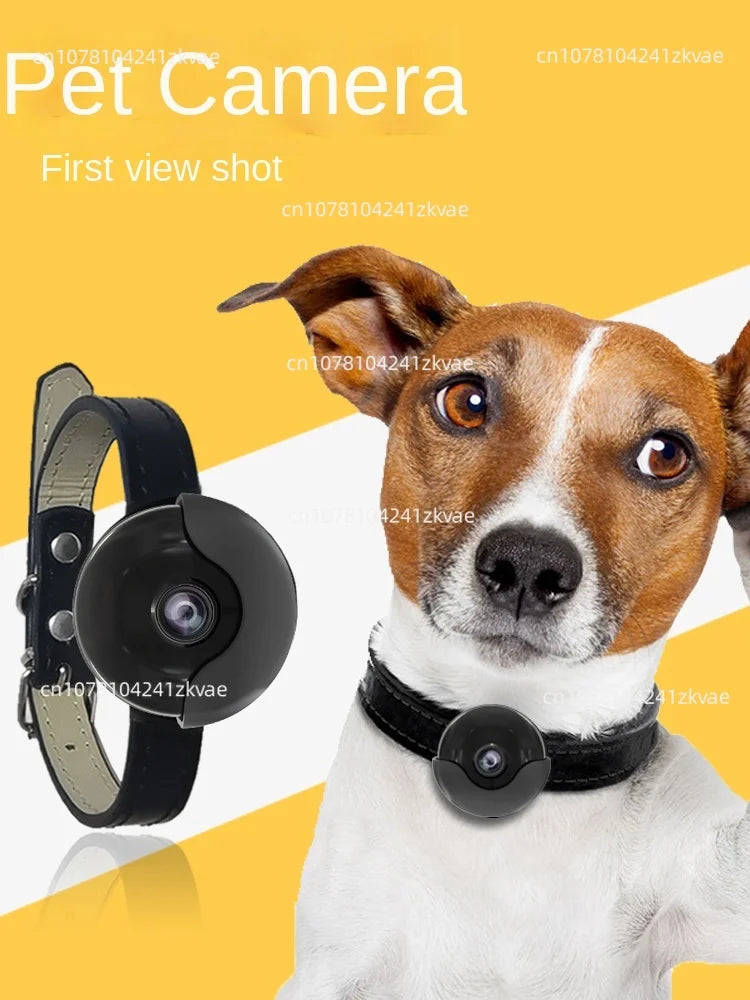 First-view smart camera recorder collar
