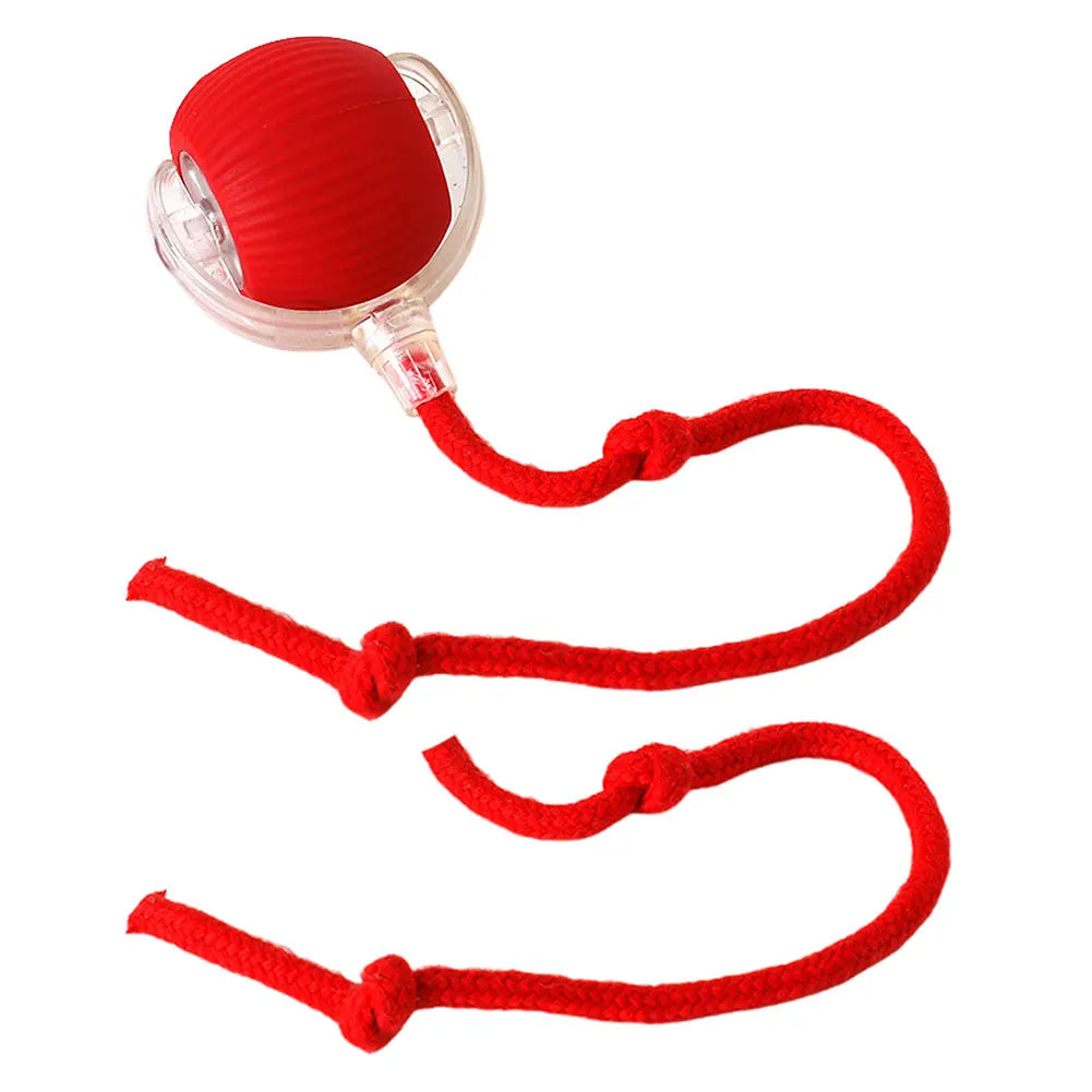 Automatic Rolling Cat Interctive Ball Toy