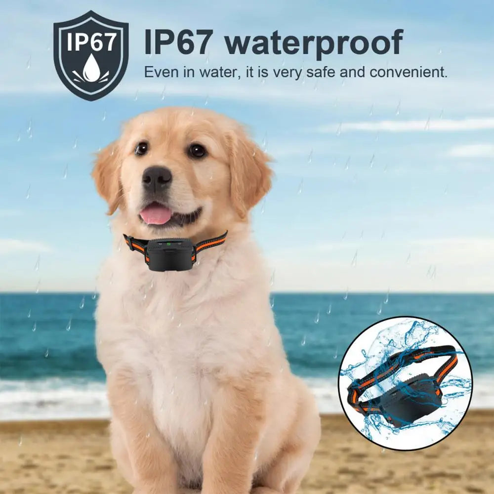 Electronic Pet Training Shock Collar