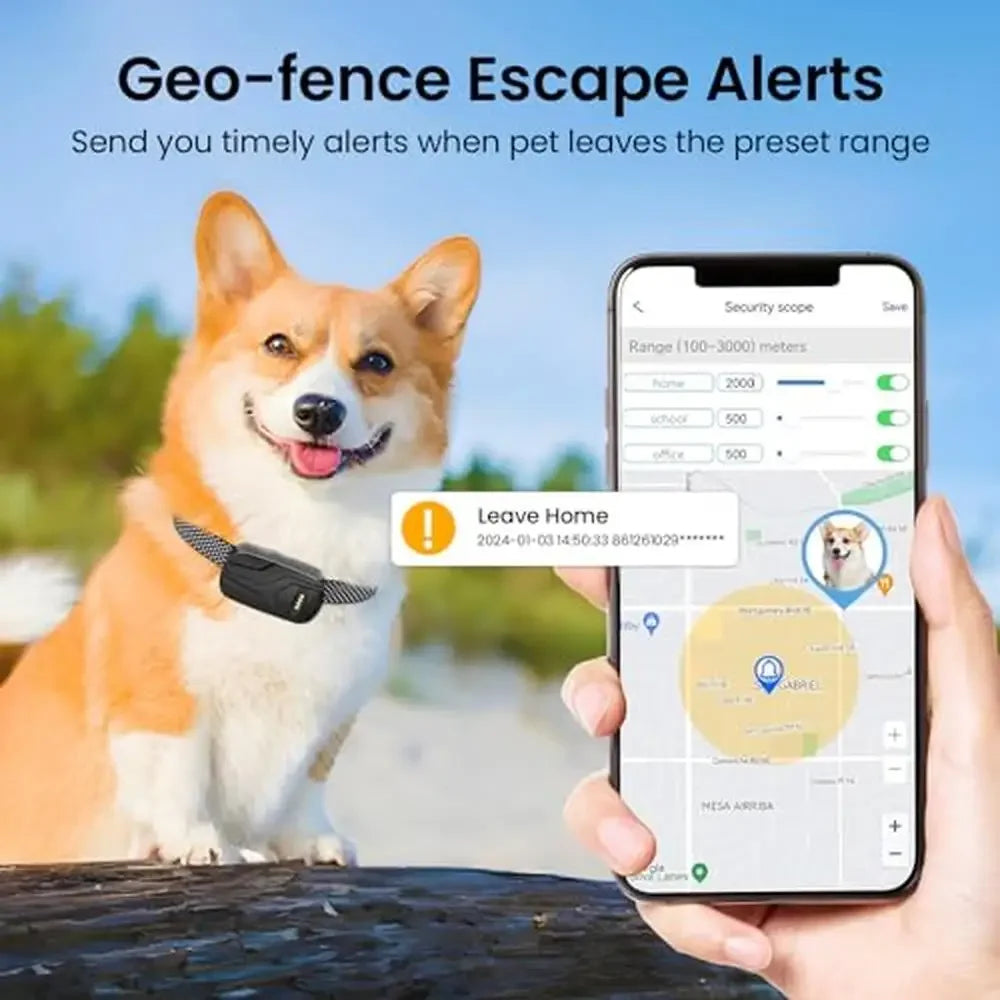 Health Monitoring & GPS Tracker
