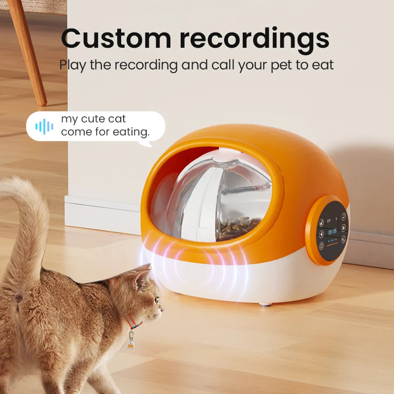 Intelligent Anti-snatch Automatic Cat and Dog Feeder