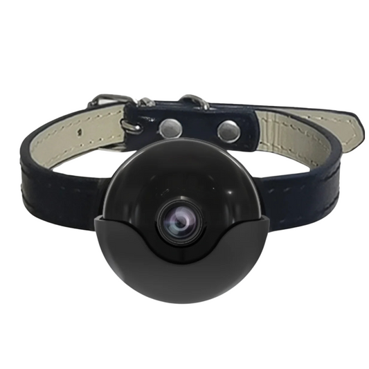 First-view smart camera recorder collar