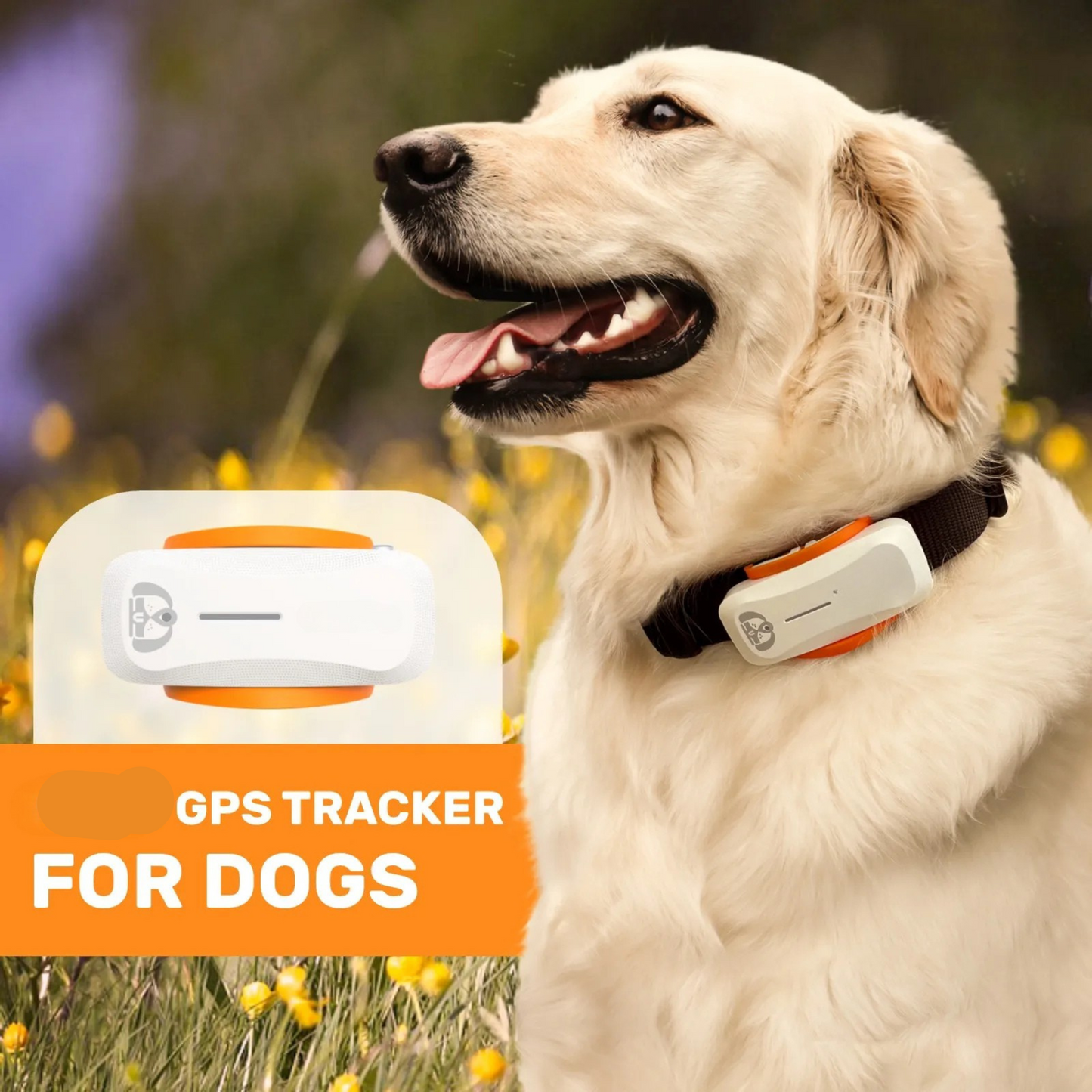 Pet Pedometers GPS Tracker for Dogs