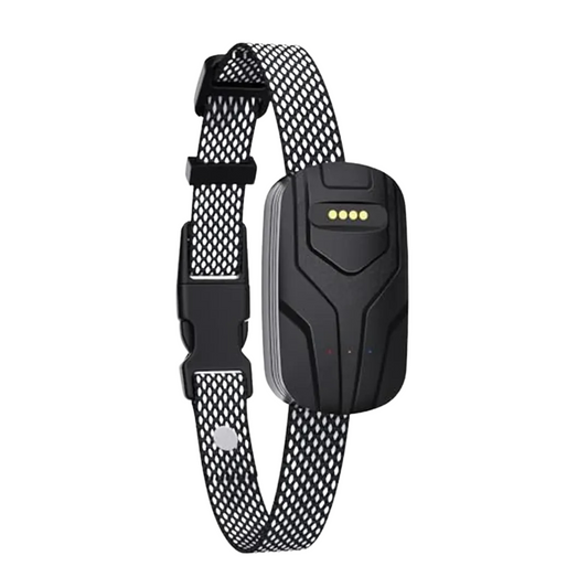 Health Monitoring & GPS Tracker