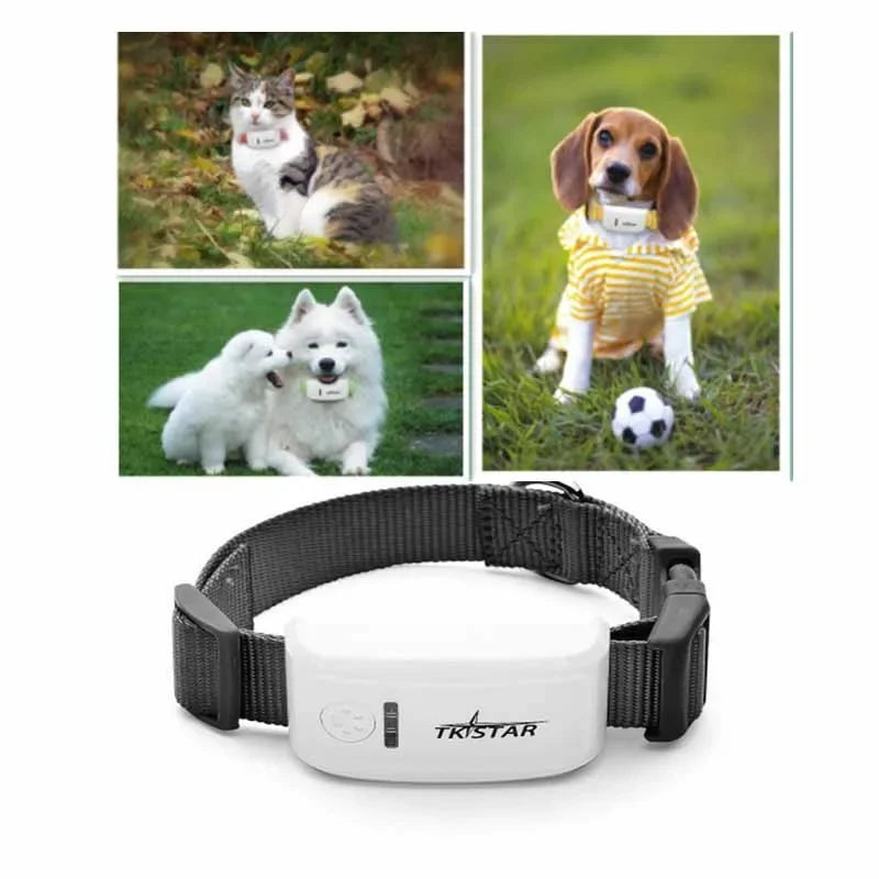 Mini GPS Pet Tracker with Collar – Real-Time GSM/GPRS Tracking for Dogs & Cats (iOS/Android Compatible)