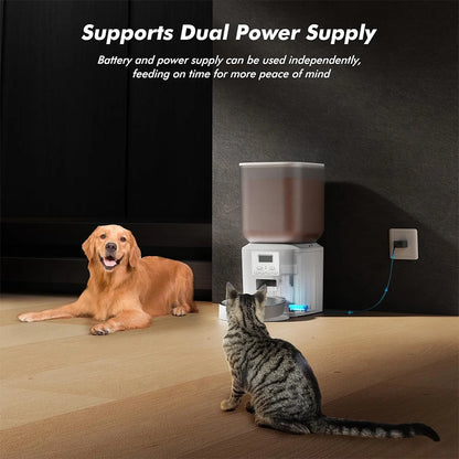 Automatic Pet Feeder – 8L Smart Dispenser with Key Control, SUS+ABS Build for Cats & Dogs