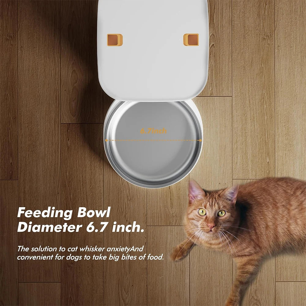 Automatic Pet Feeder – 8L Smart Dispenser with Key Control, SUS+ABS Build for Cats & Dogs