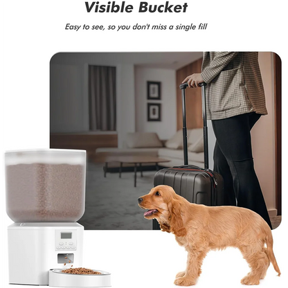Automatic Pet Feeder – 8L Smart Dispenser with Key Control, SUS+ABS Build for Cats & Dogs