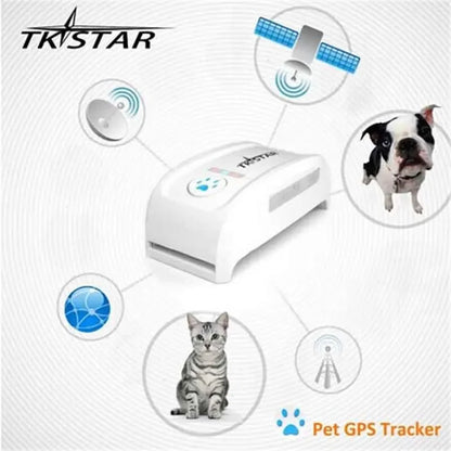 Mini GPS Pet Tracker with Collar – Real-Time GSM/GPRS Tracking for Dogs & Cats (iOS/Android Compatible)
